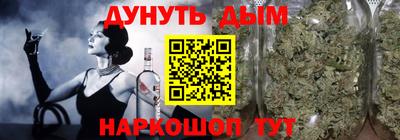 стаф Гай