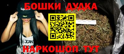 стаф Гай