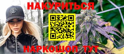 стаф Гай