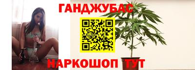 стаф Гай