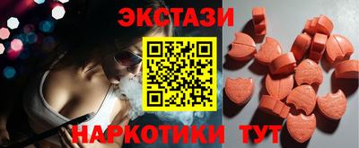 стаф Гай