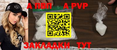 стаф Гай