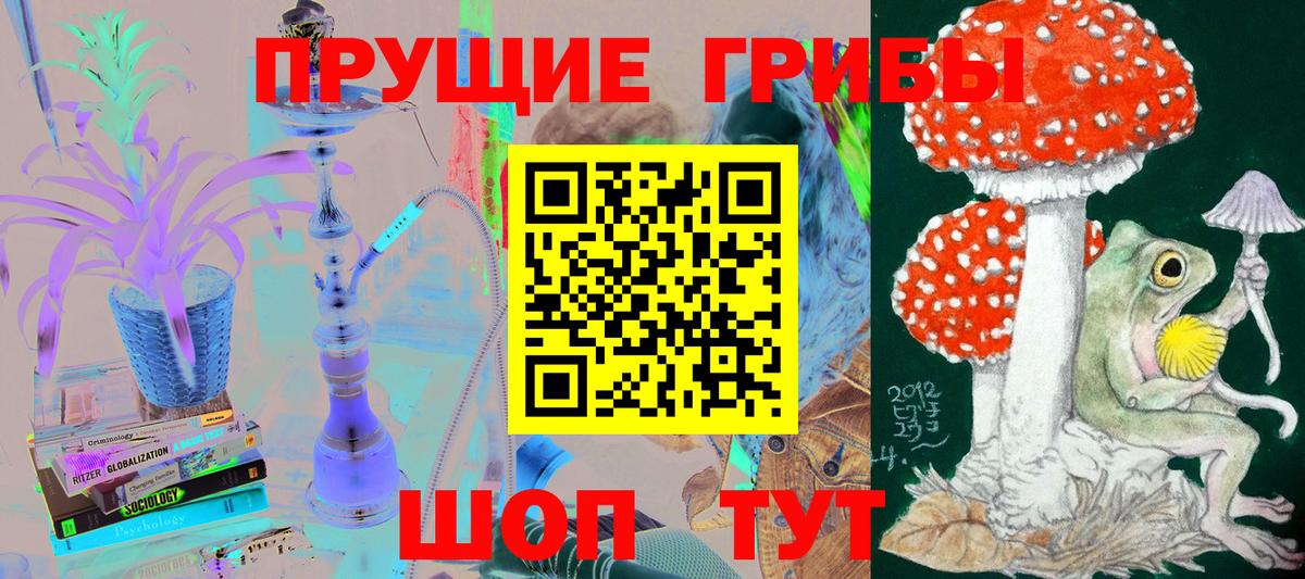 Псилоцибиновые грибы Cubensis Шелехов