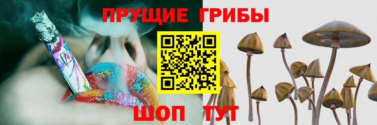 продажа наркотиков  Галлюциногенные грибы Magic Shrooms  Вход с VPN  Шелехов 